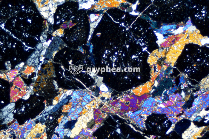 Eclogite LPA x6,3 - gryphea.org